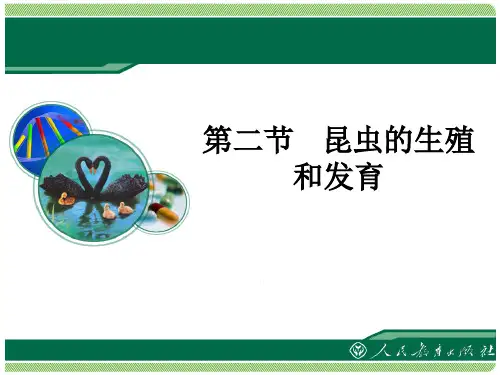 7.1.2《昆虫的生殖和发育》教学课件