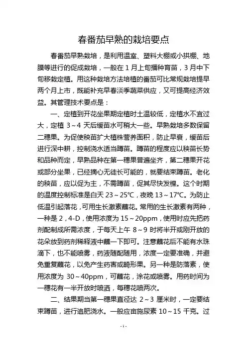 春番茄早熟的栽培要点