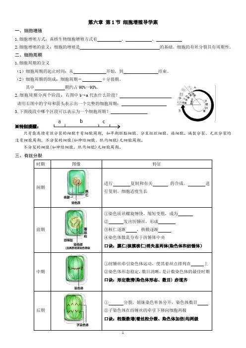 细胞增殖 导学案 高一上学期生物人教版必修1