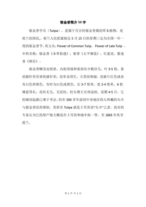 郁金香简介50字