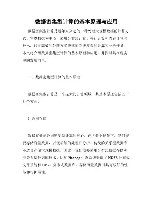 数据密集型计算的基本原理与应用