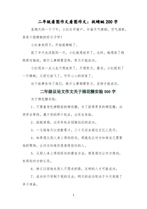 二年级看图作文看图作文：捉蜻蜓200字