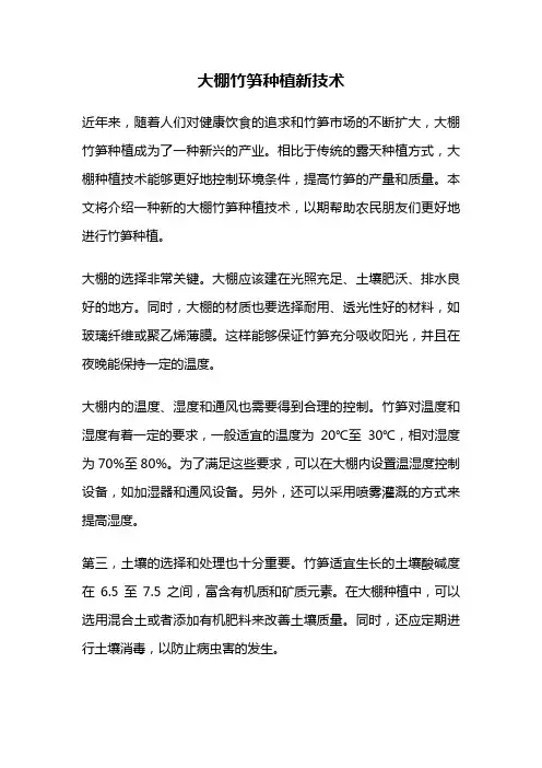 大棚竹笋种植新技术