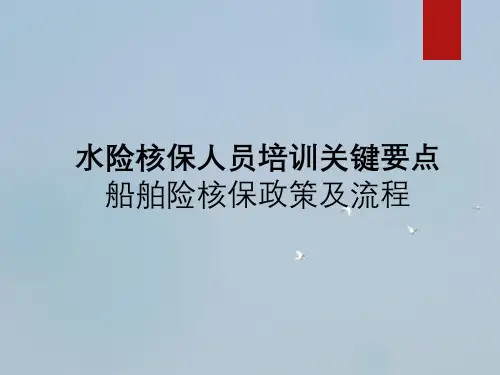水险核保人员培训关键要点船舶险核保政策及流程