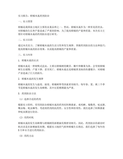 柑橘木虱药剂防治实习报告