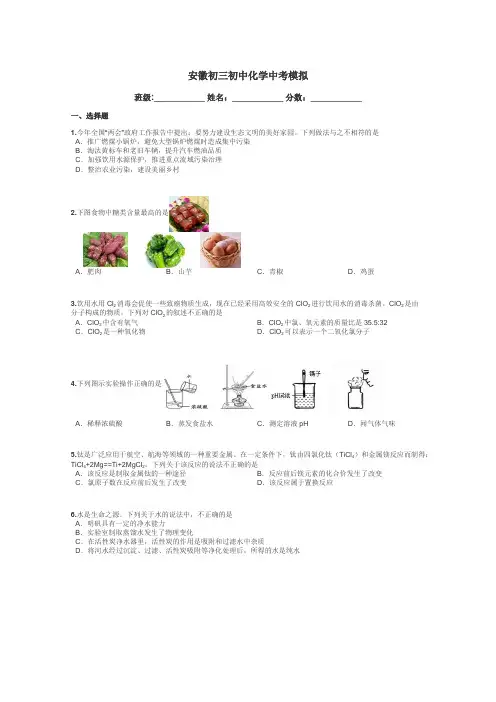 安徽初三初中化学中考模拟带答案解析

