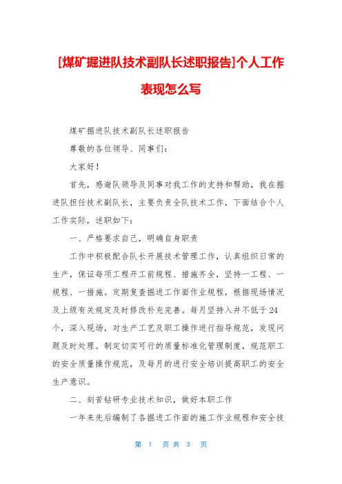 [煤矿掘进队技术副队长述职报告]个人工作表现怎么写