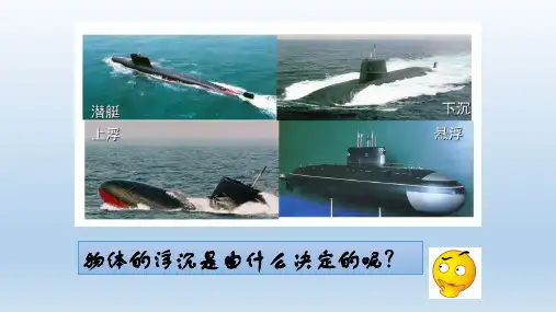 10.3-1浮沉条件