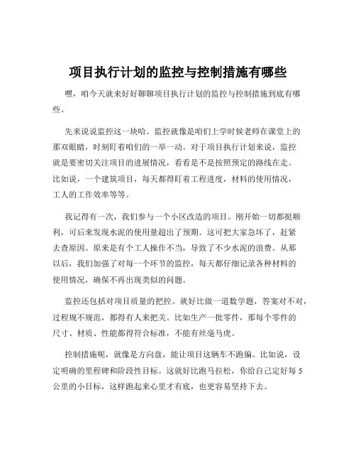 项目执行计划的监控与控制措施有哪些