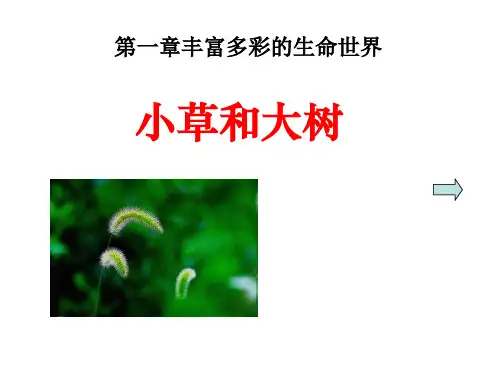 六年级上册科学课件 小草和大树冀教版 (共14页)PPT
