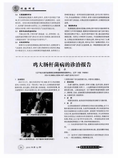 鸡大肠杆菌病的诊治报告