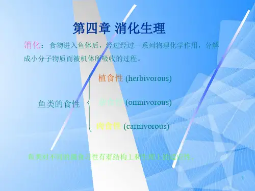 【完整版】鱼类生理学消化生理PPT文档