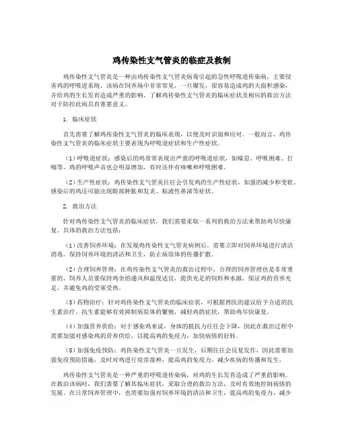 鸡传染性支气管炎的临症及救制