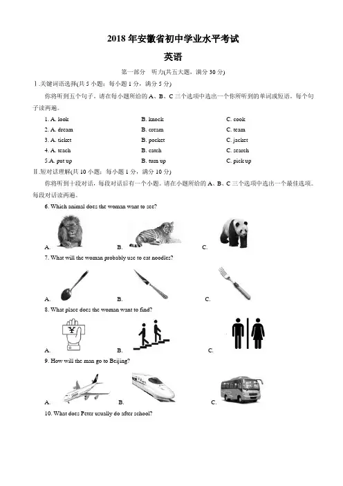 (真题)2018年安徽省中考英语试题(有答案)