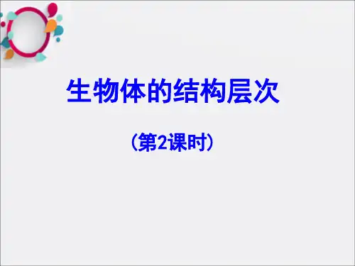 《脊椎动物的分类》PPT课件