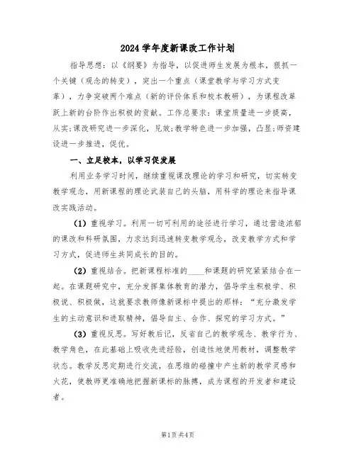 2024学年度新课改工作计划（二篇）