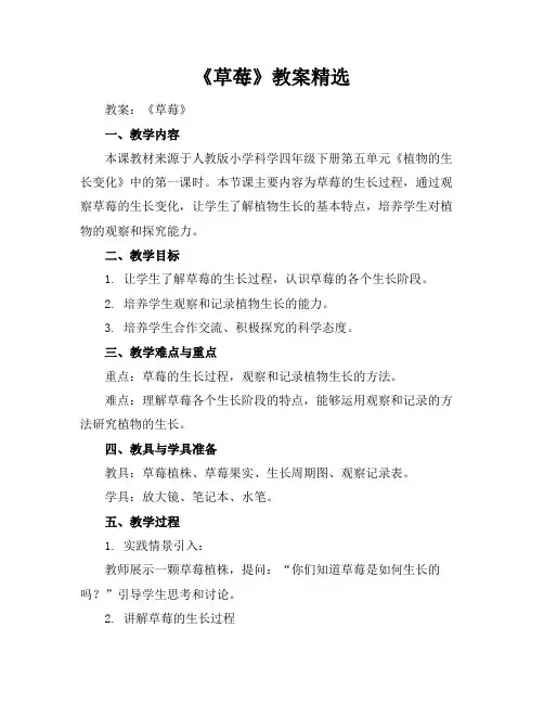 《草莓》教案精选