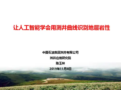 让人工智能学会用测井曲线识别地层岩性__陈玉林