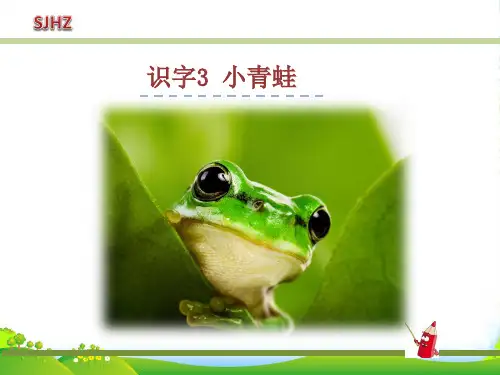 【人教部编版】语文一下：【识字3】《小青蛙》ppt课件(3)