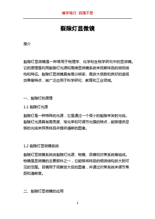 裂隙灯显微镜