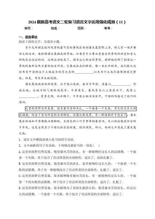 2024届新高考语文二轮复习语言文字运用强化精测(11)(含解析)