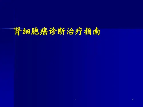 肾癌,诊疗pptppt课件