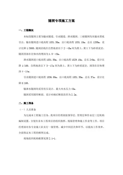 隧洞专项施工方案