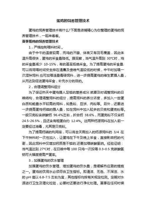 蛋鸡的饲养管理技术