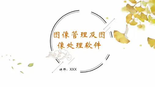 第一课图像及图像处理软件课件粤教版(2019)初中信息技术八年级上册
