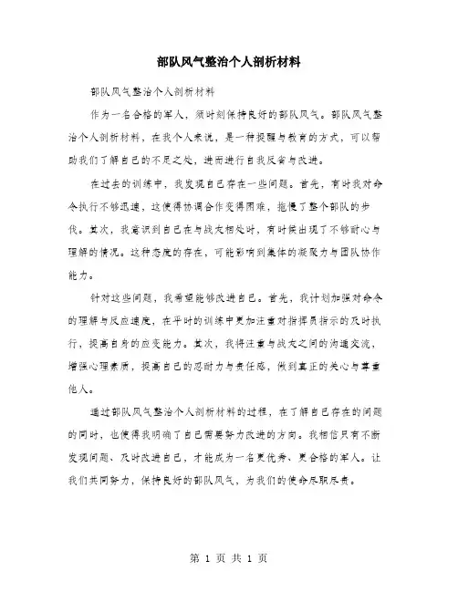 部队风气整治个人剖析材料