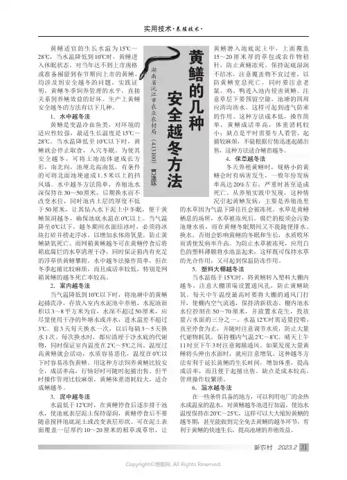黄鳝的几种安全越冬方法