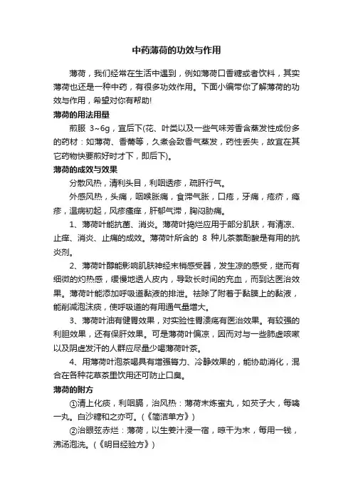 中药薄荷的功效与作用
