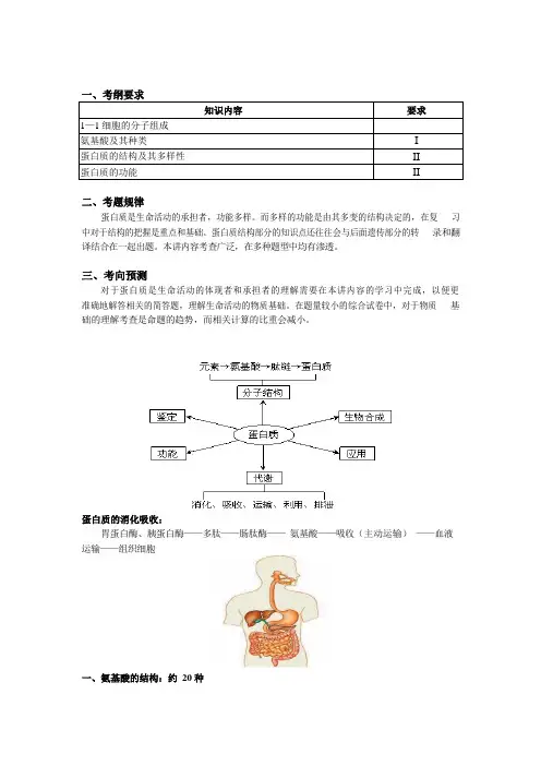 人教版新课标-高考生物一轮复习教案---蛋白质