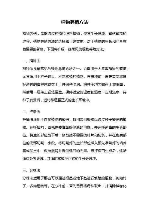 植物养殖方法