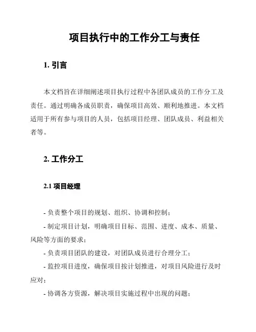 项目执行中的工作分工与责任
