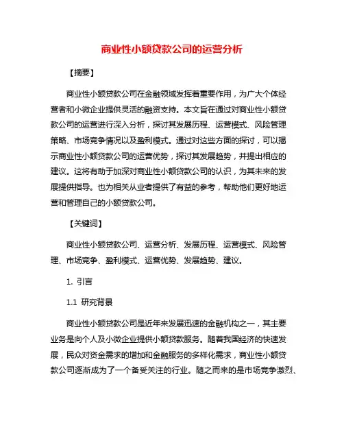 商业性小额贷款公司的运营分析