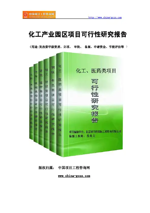 化工产业园区项目可行性研究报告(专业经典案例)