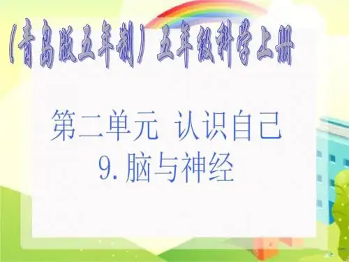 小学科学五年级上册《 脑与神经》PPT