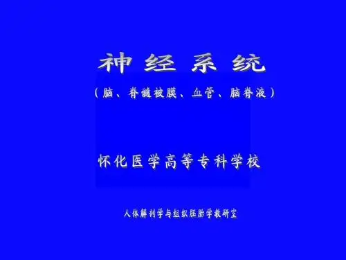 脑、脊髓被膜、血管、脑脊液