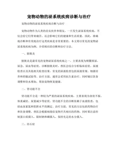 宠物动物的泌系统疾病诊断与治疗