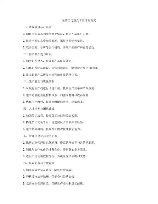 医药公司重点工作计划范文