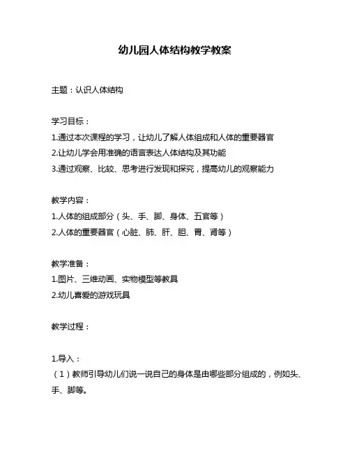 幼儿园人体结构教学教案