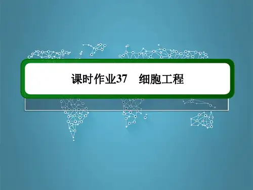 新高考生物一轮复习课件课时作业第37讲细胞工程_3