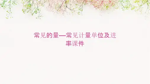 常见的量—常见计量单位及进率课件