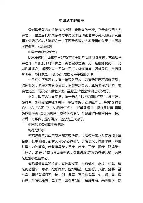 中国武术螳螂拳