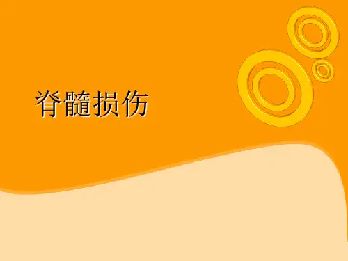 脊髓损伤