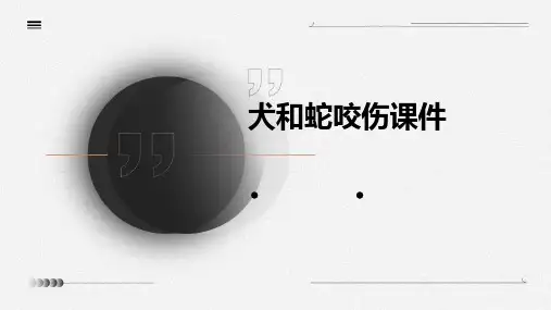 犬和蛇咬伤课件PPT