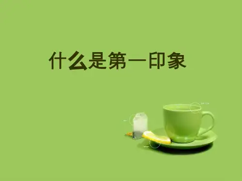 第一印象相关概念