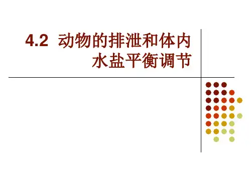 动物的排泄和体内水盐平衡