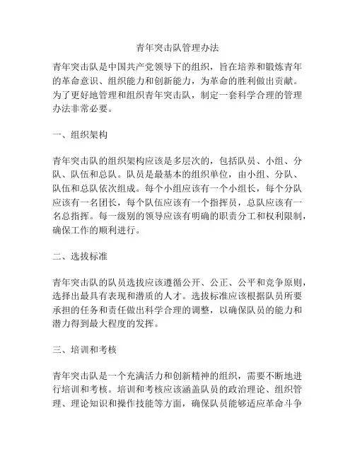 青年突击队管理办法